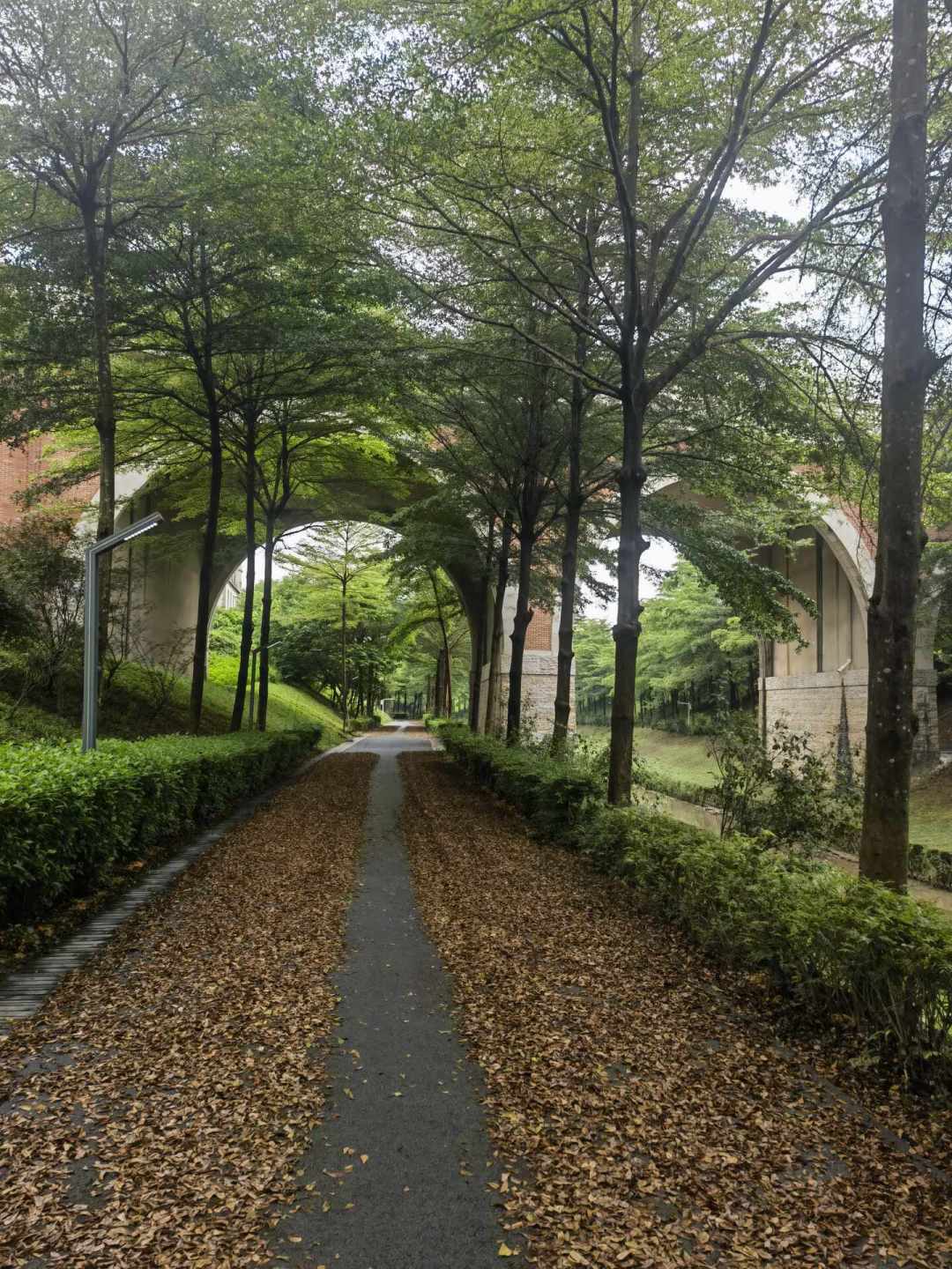 台风“紫檀”锁定华南,立秋凉意到北方:这个周末休闲骑,谁该缓一缓,谁该抓紧骑