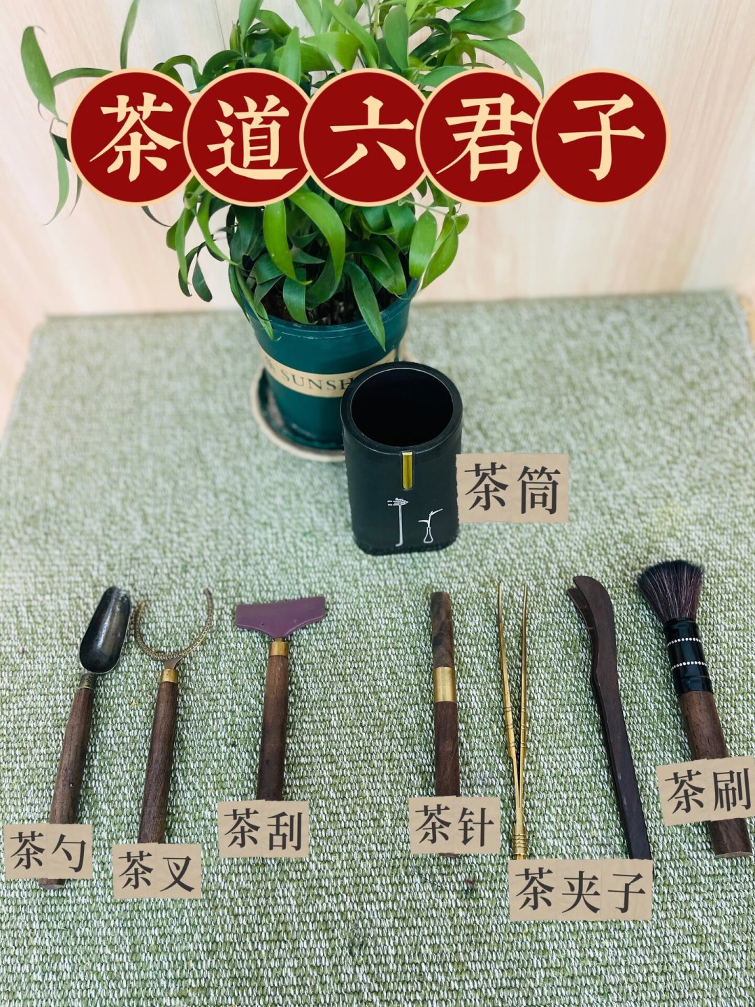 蒙氏学费每月三千到上万，但