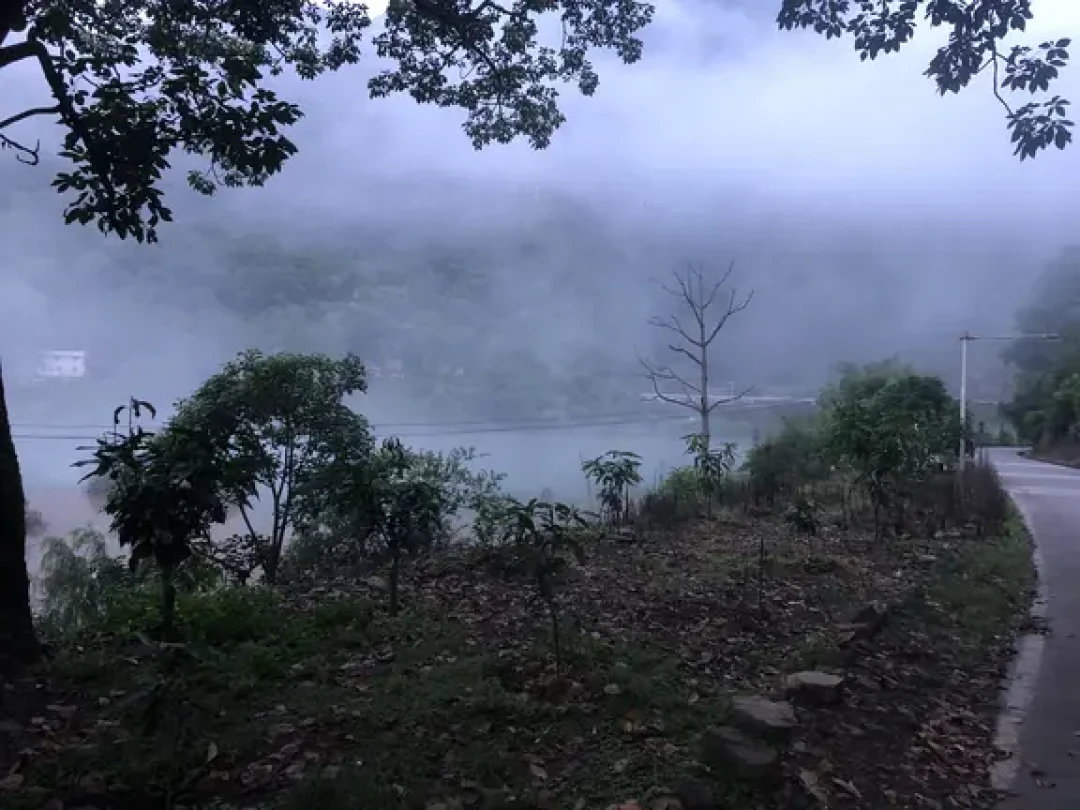 明天处暑:钓鱼佬都在等“降温第一天狂口”,但今年大概率要落空,出钓前先看清这三件事
