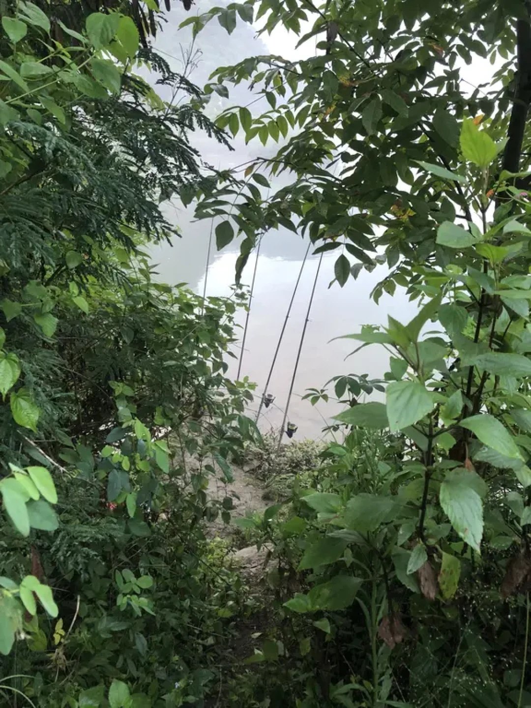 明天处暑:钓鱼佬都在等“降温第一天狂口”,但今年大概率要落空,出钓前先看清这三件事