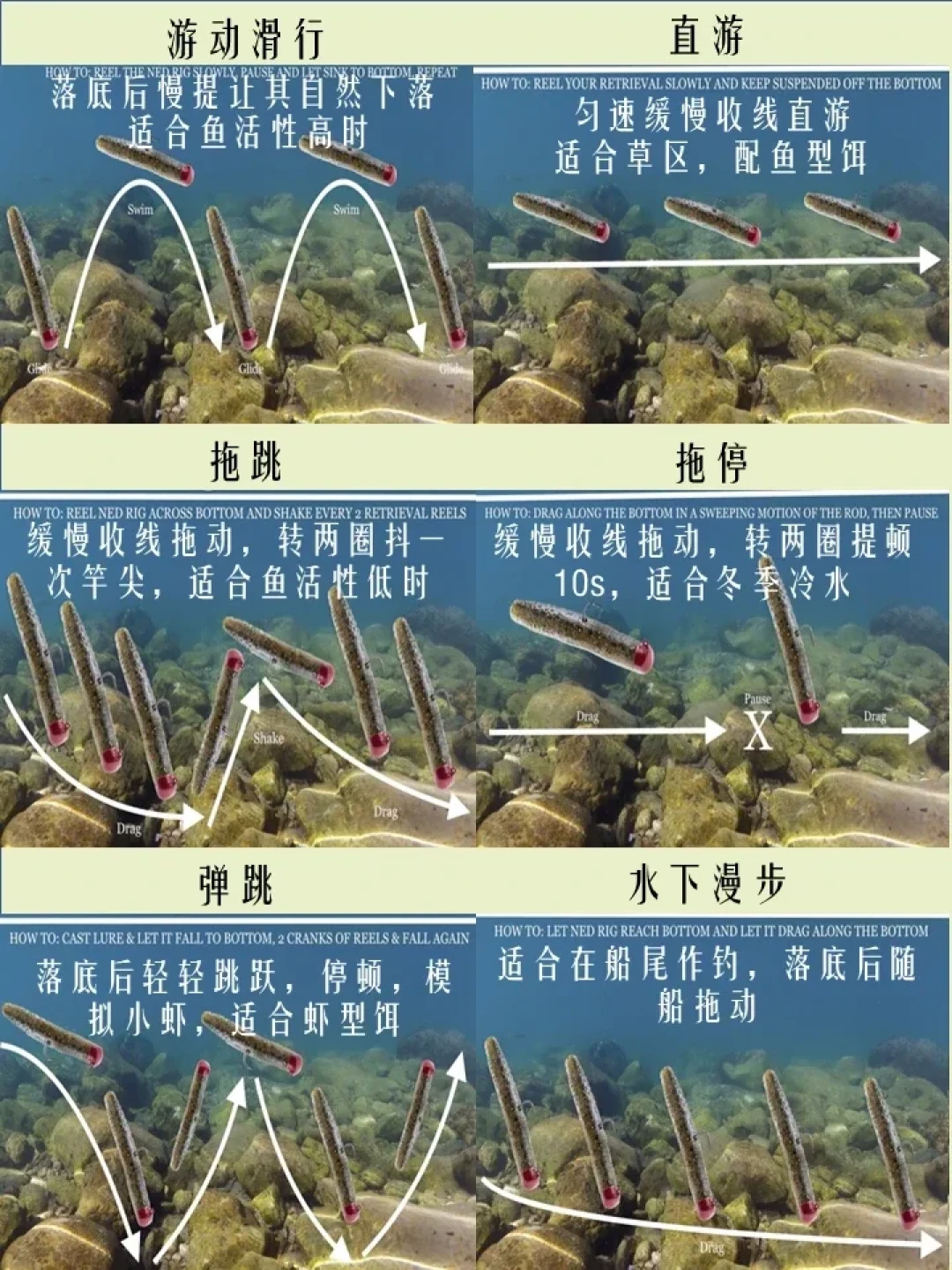 8月底还在空军？别急着买新饵，先看看这个几块钱的内德钓组