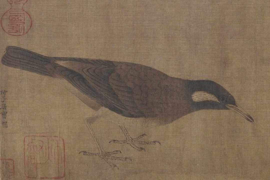 故宫9月《典则》大展传闻刷屏:院体花鸟的重器,都藏在没公布的那一半