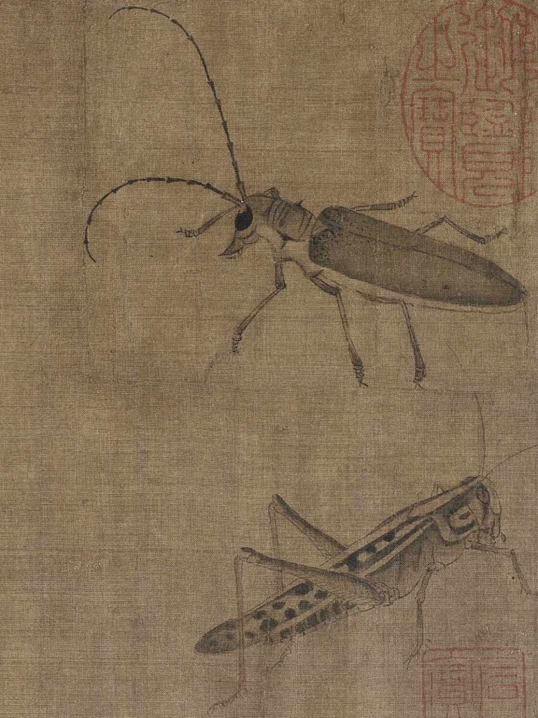 故宫9月《典则》大展传闻刷屏:院体花鸟的重器,都藏在没公布的那一半