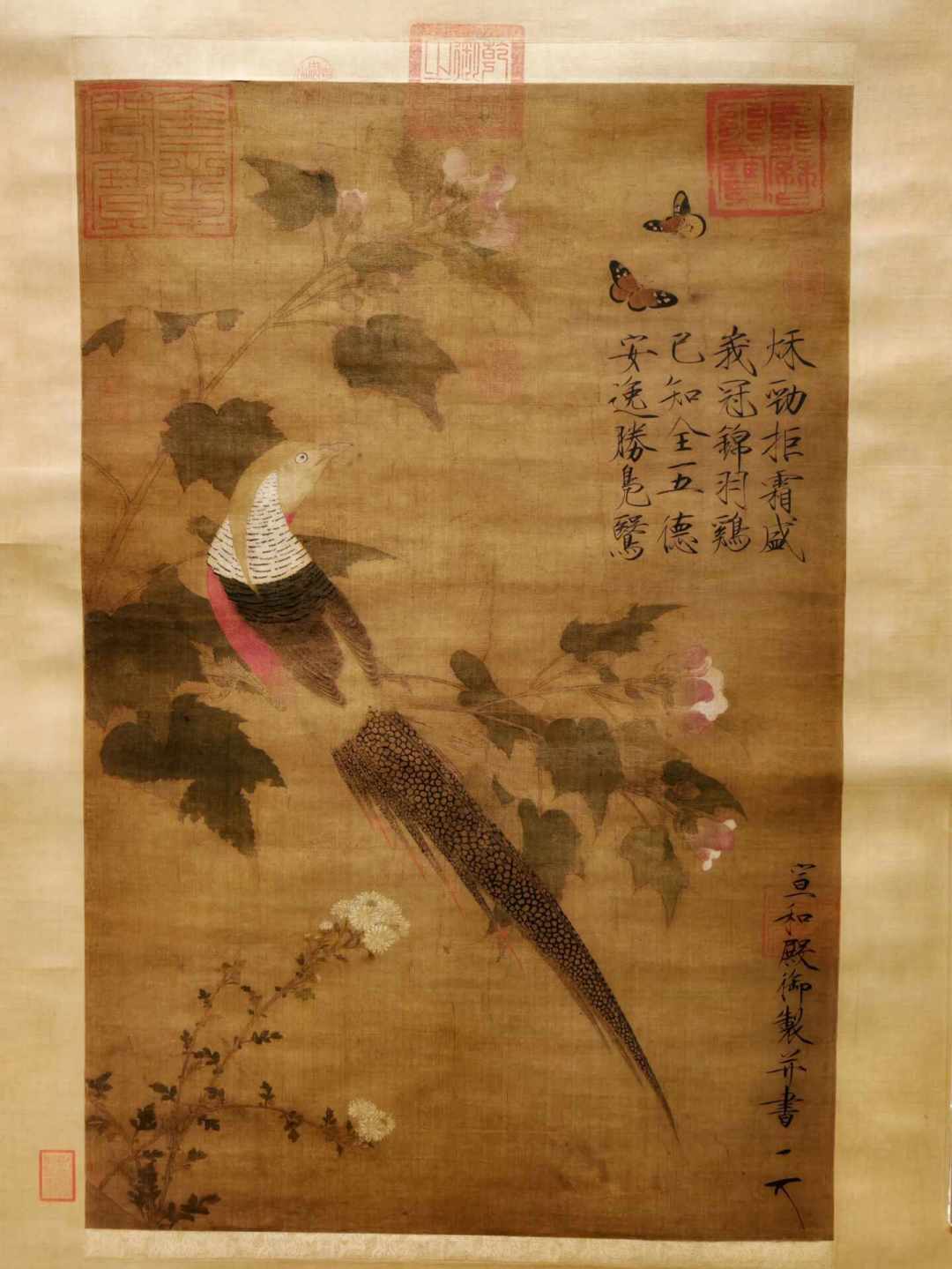 故宫9月《典则》大展传闻刷屏:院体花鸟的重器,都藏在没公布的那一半