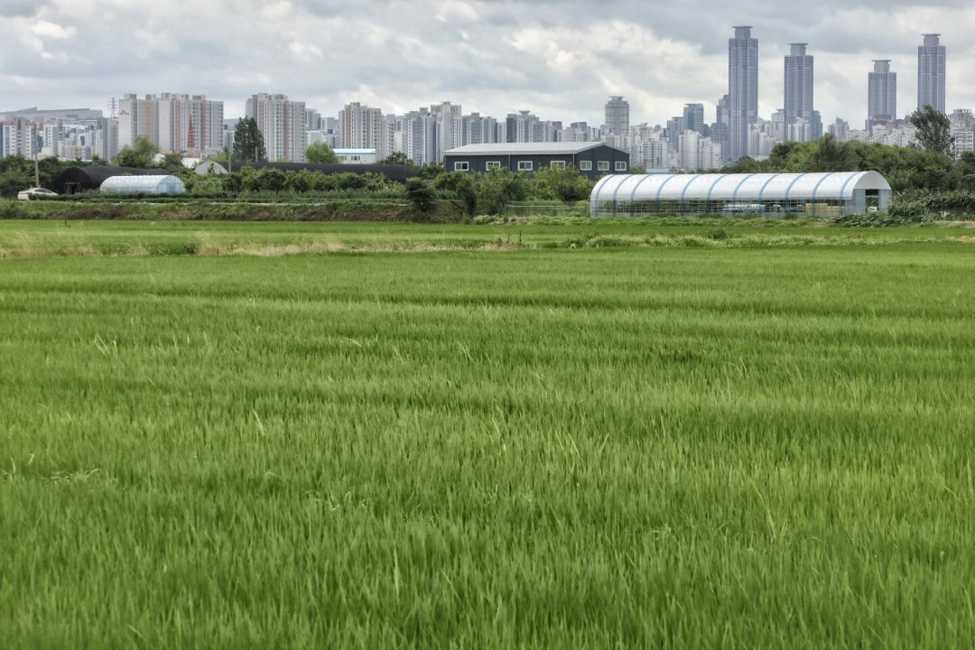 2026年,华城案又被刷屏了:破案之后,有三件事比案件本身更让人憋屈