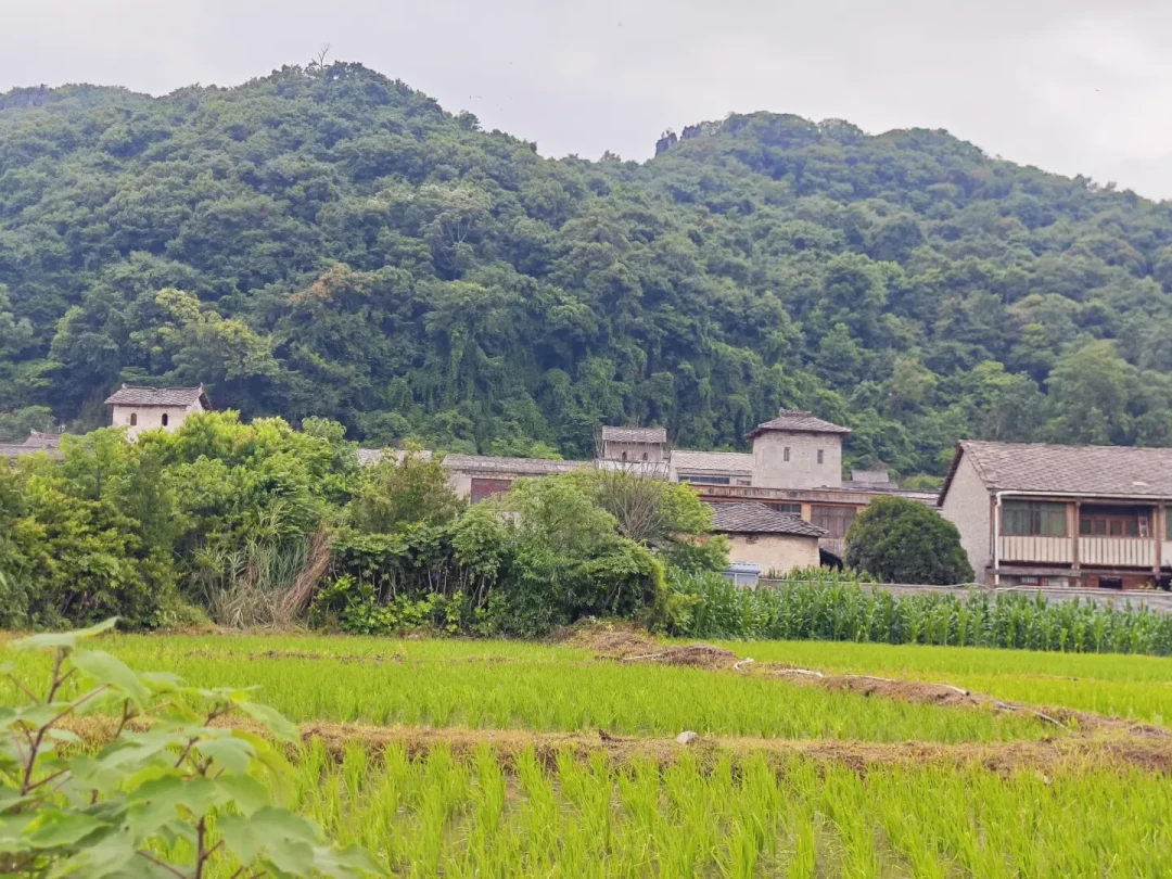 《参考消息》点名安顺屯堡:暑假剩一周,三大寨的门票、地戏和避坑先比一遍