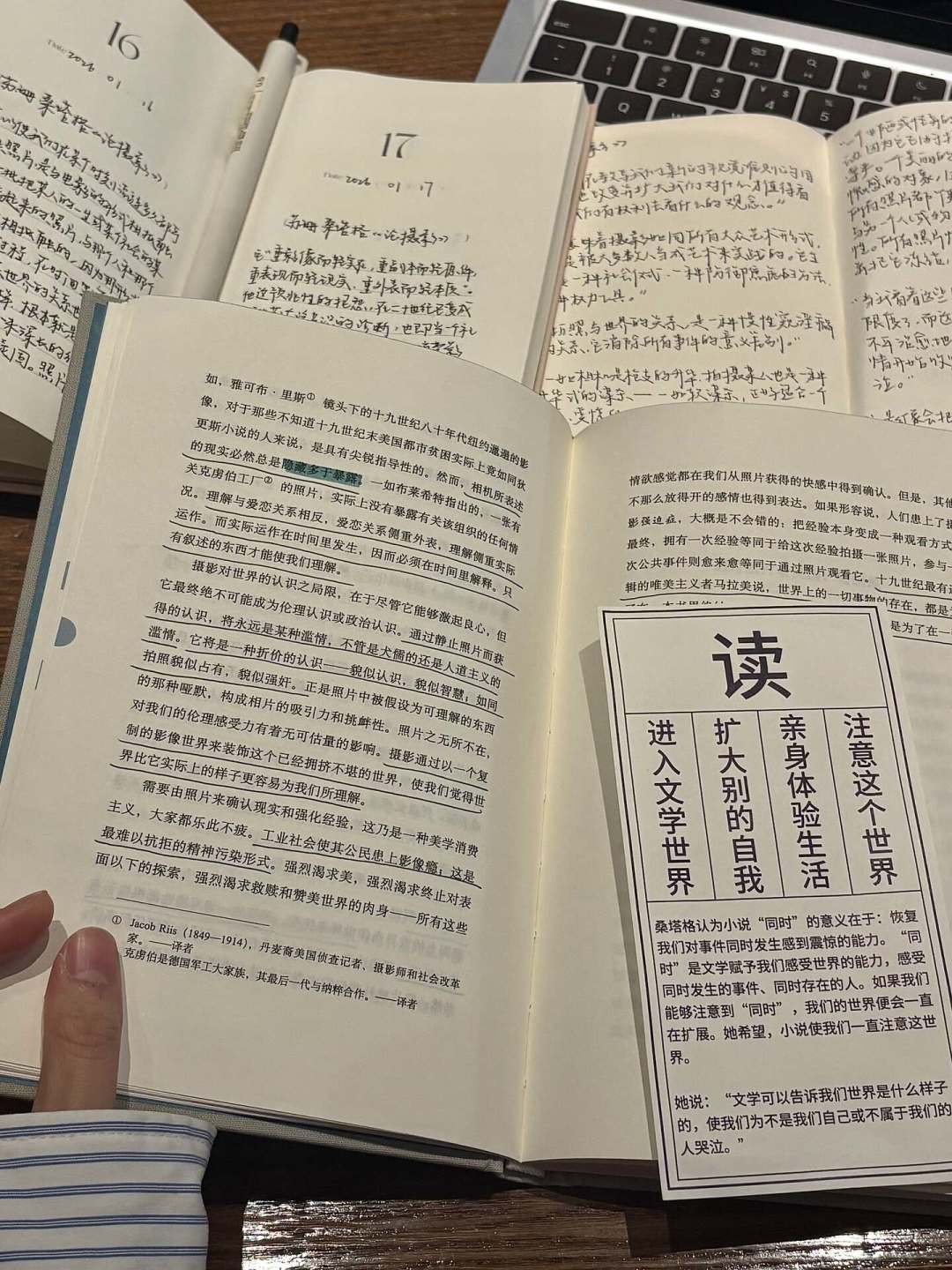 等了一年半,桑塔格的《论女性》终于有动静了:等待期怎么读,路线给你捋好了
