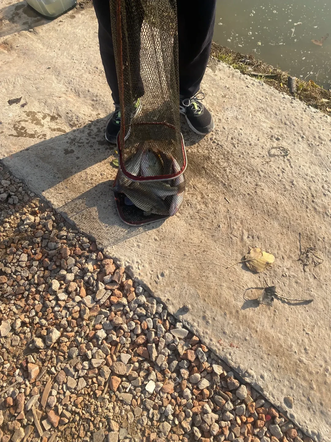 倒钓刷屏路亚圈:高温天没口先别换装备,刺鱼时机和钩铅距离一次说清