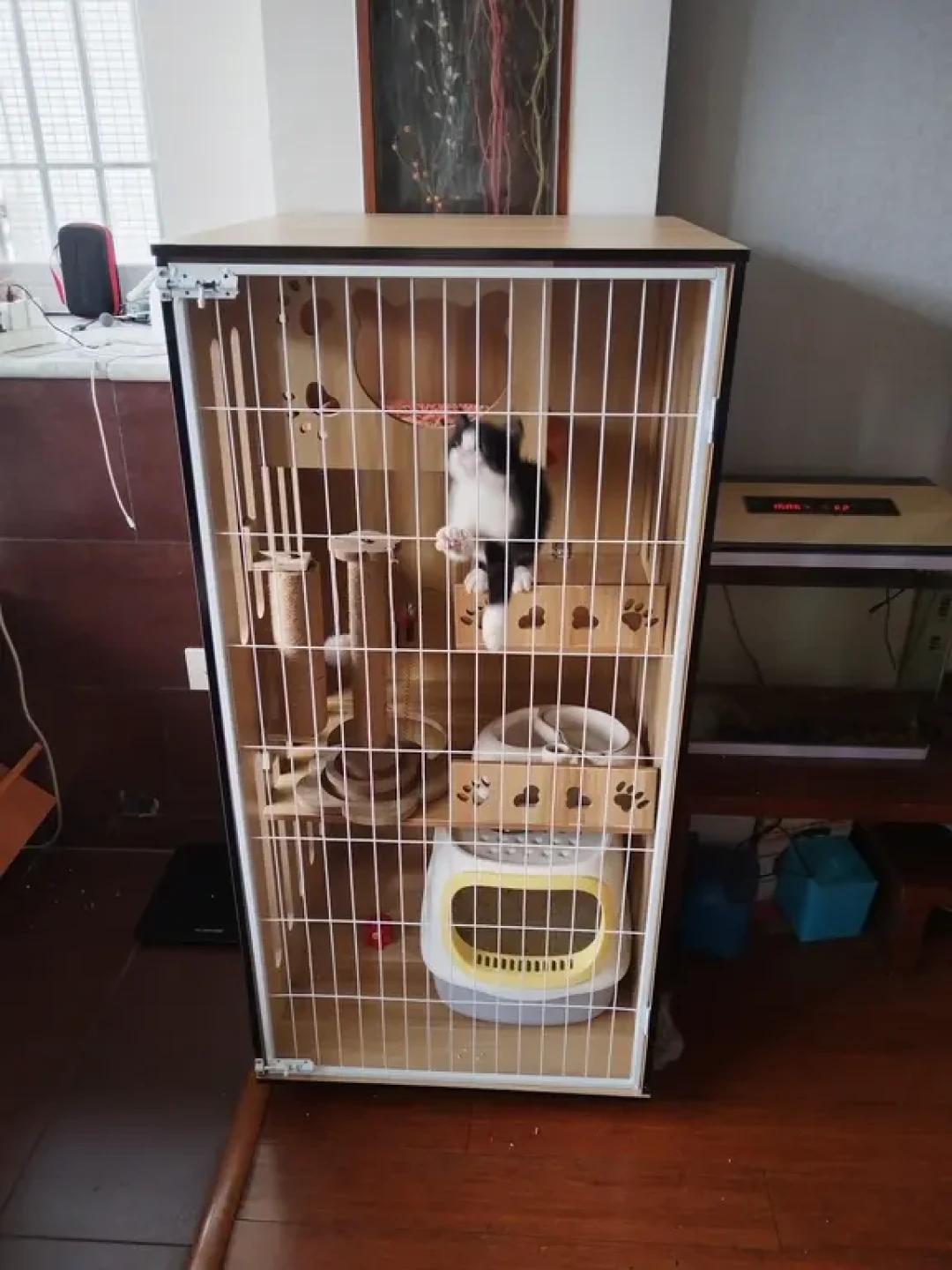 适猫化装修不是多装个猫爬架:翻完三平台上百条帖子,我们建议先把这些看不见的硬装做好
