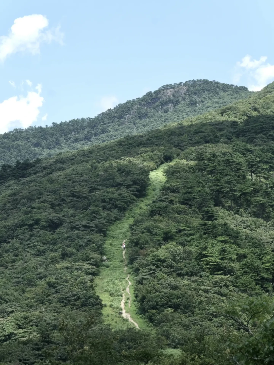 天目七尖进入一年中最尴尬的窗口期：强驴都在等，