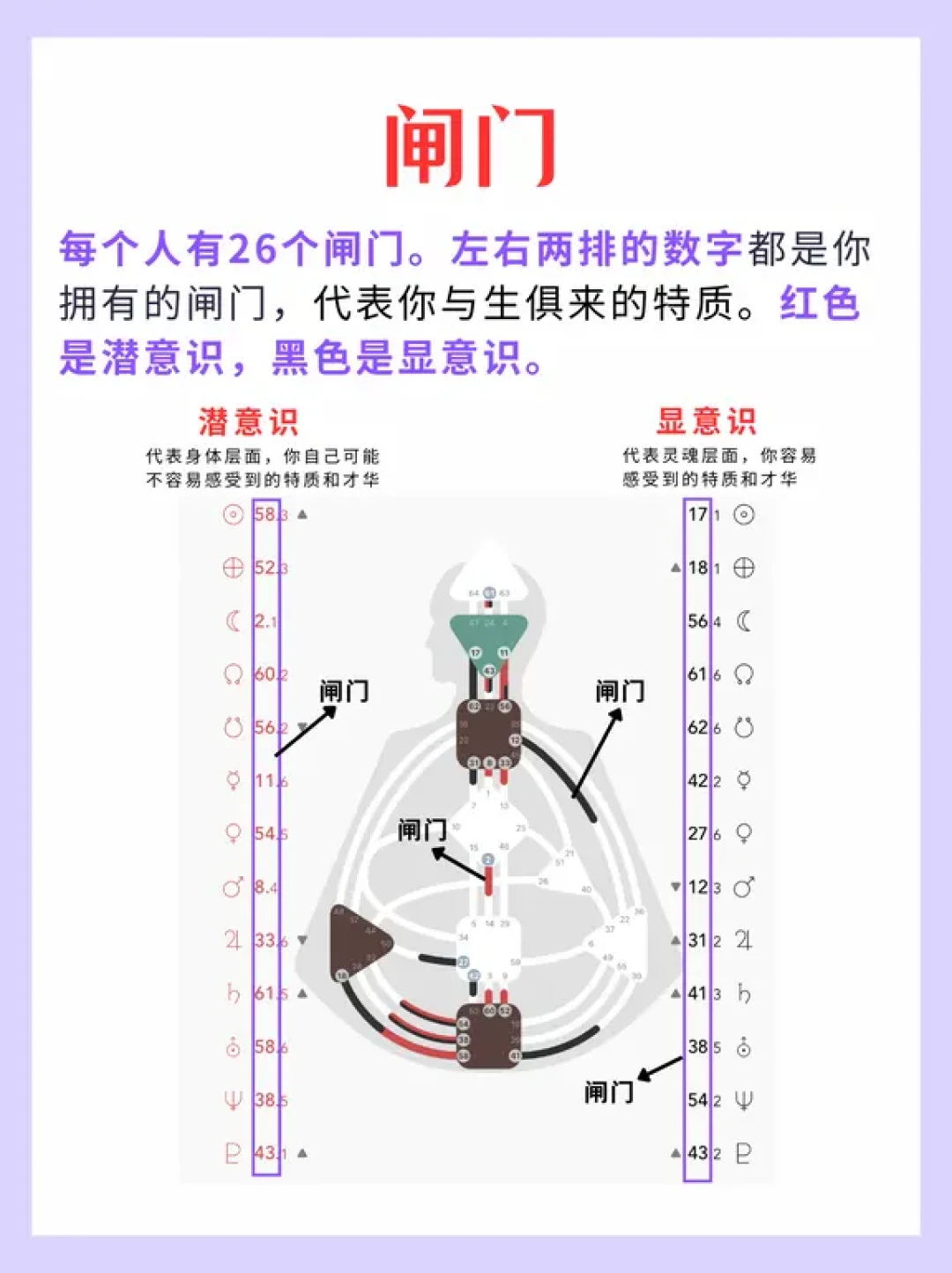 人类图
