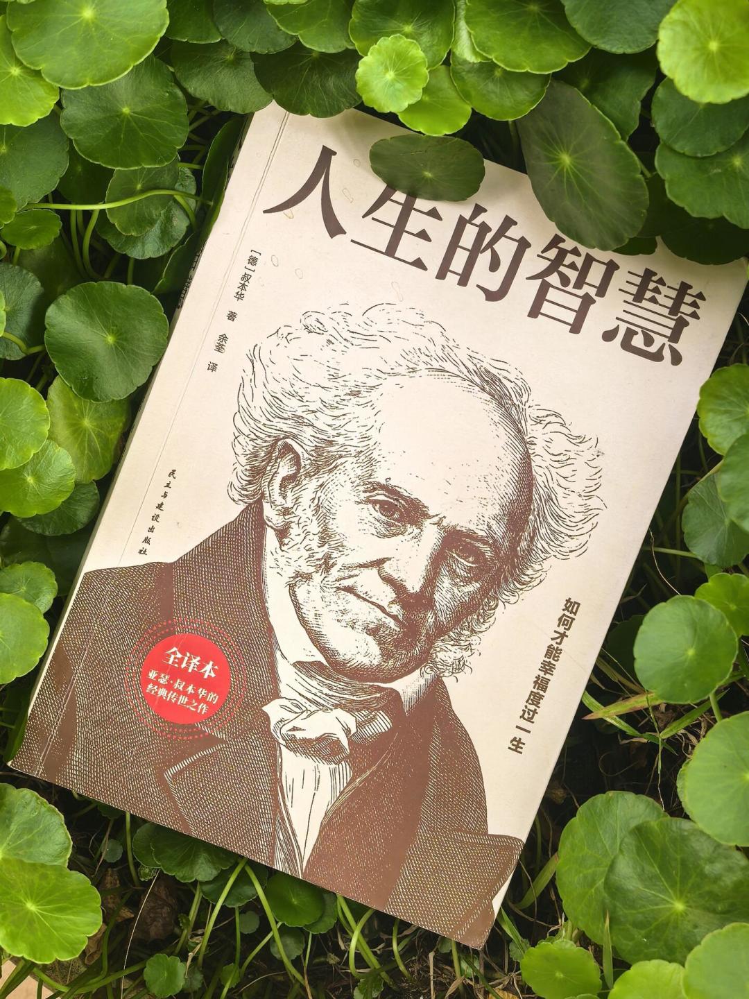 刷屏的