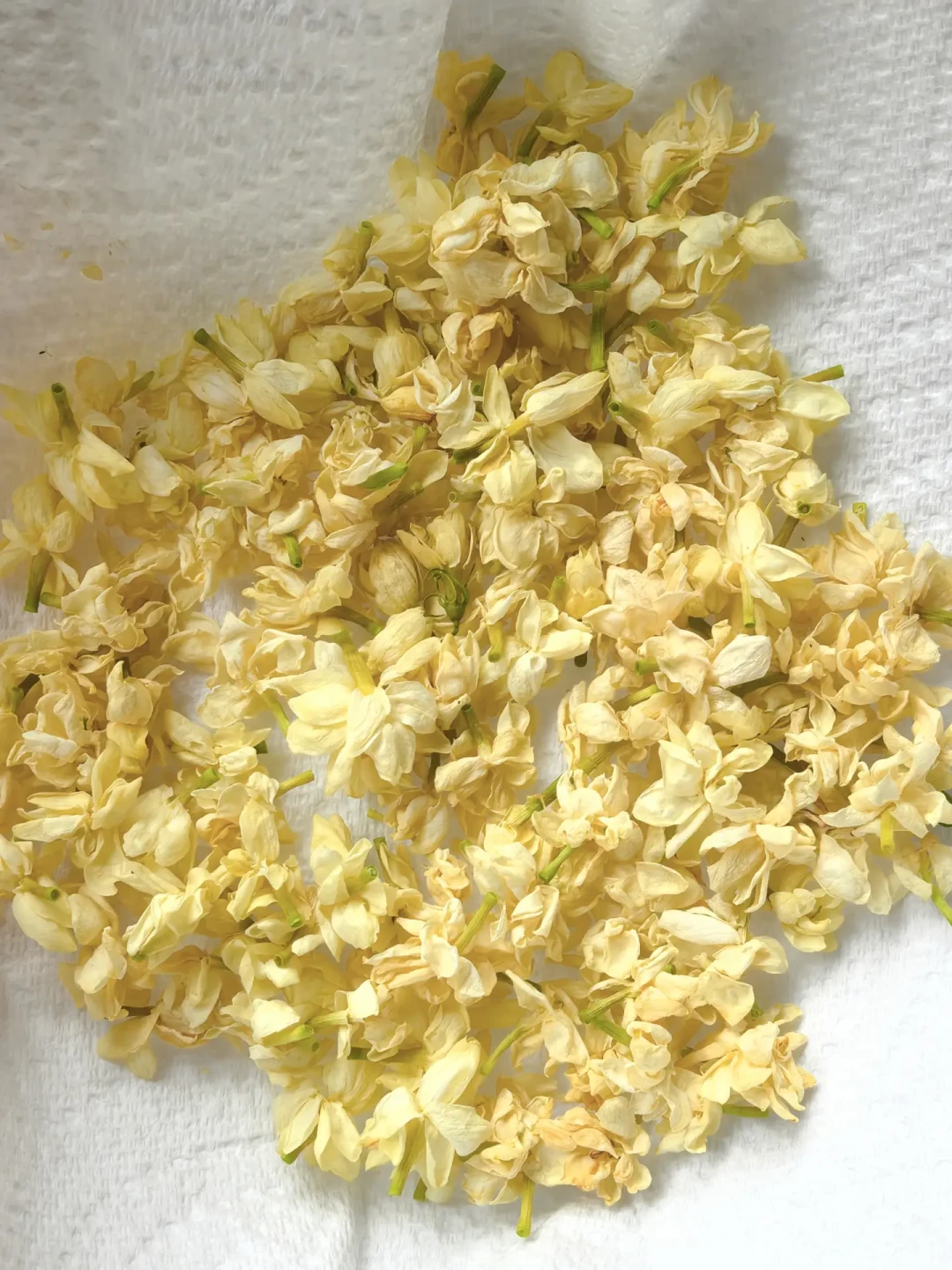 横州茉莉遭了洪水,鲜花价从5元涨到50多块又回落:自制花茶的先别急着囤,但今年有两种茶要留心