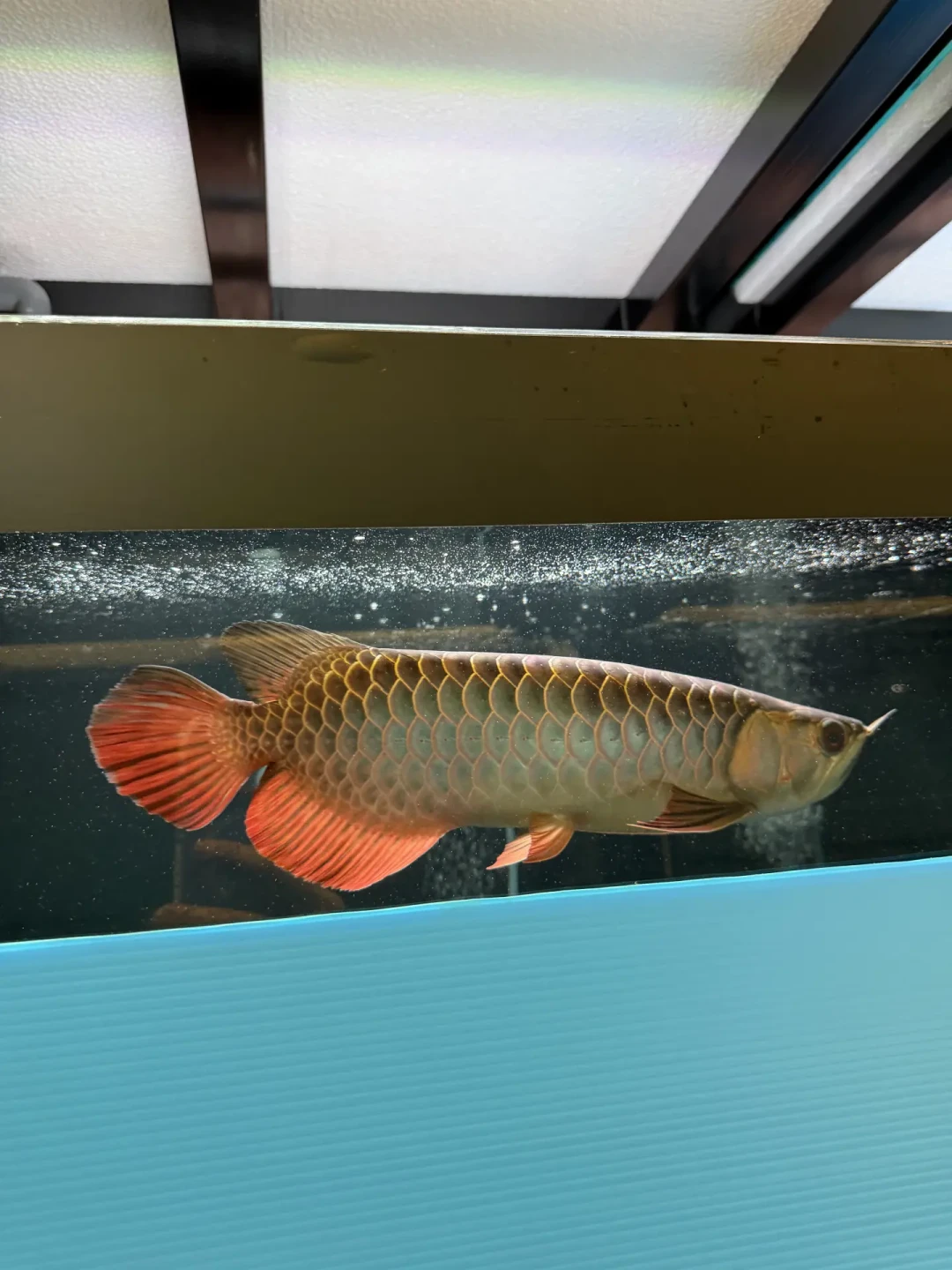 连