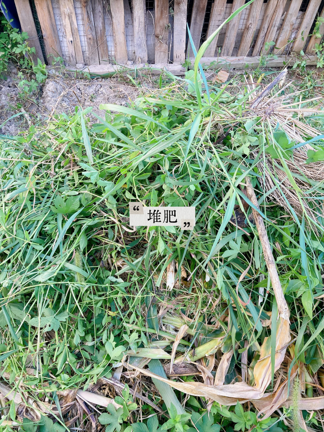 一半人说是智商税,一半人说是光:翻了4块实测地块,自然农法到底值不值得跟