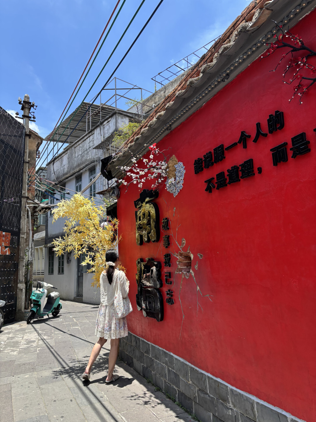 这周末先别急着去湛江赤坎老街:台风到了,过境之后恰是“老街吃海鲜”的黄金窗口