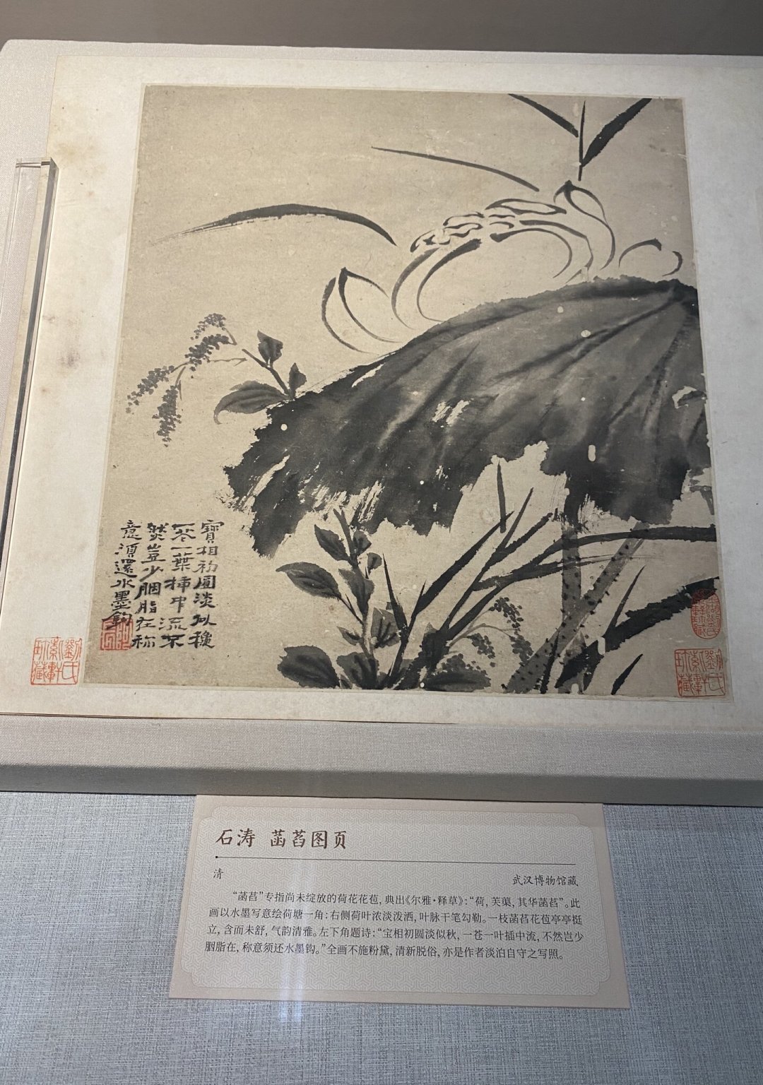 最后3天!石涛两件真迹8月25日撤展,2026年下半年还能在哪看到石涛真迹