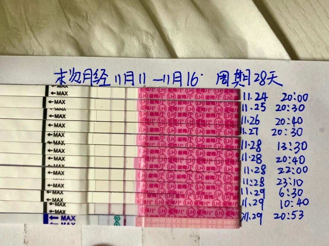 多囊试纸总弱阳？花钱前先看这3条抓排卵路线