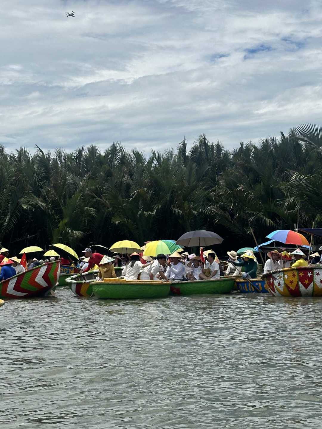 会安椰子船口碑两极:有人36元坐穿大椰林,有人被拉去臭水沟,差距全在上船前三步