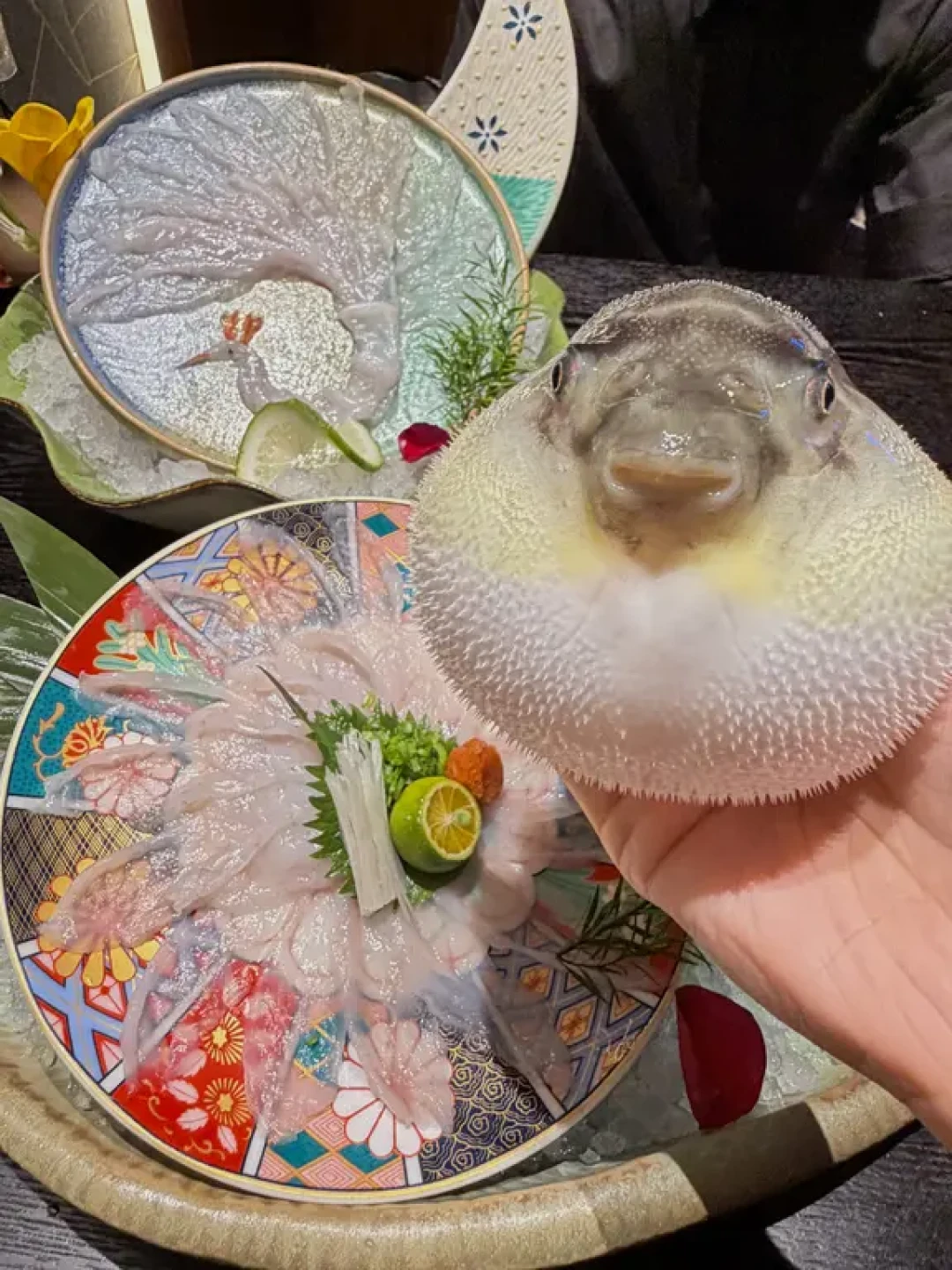 你说的