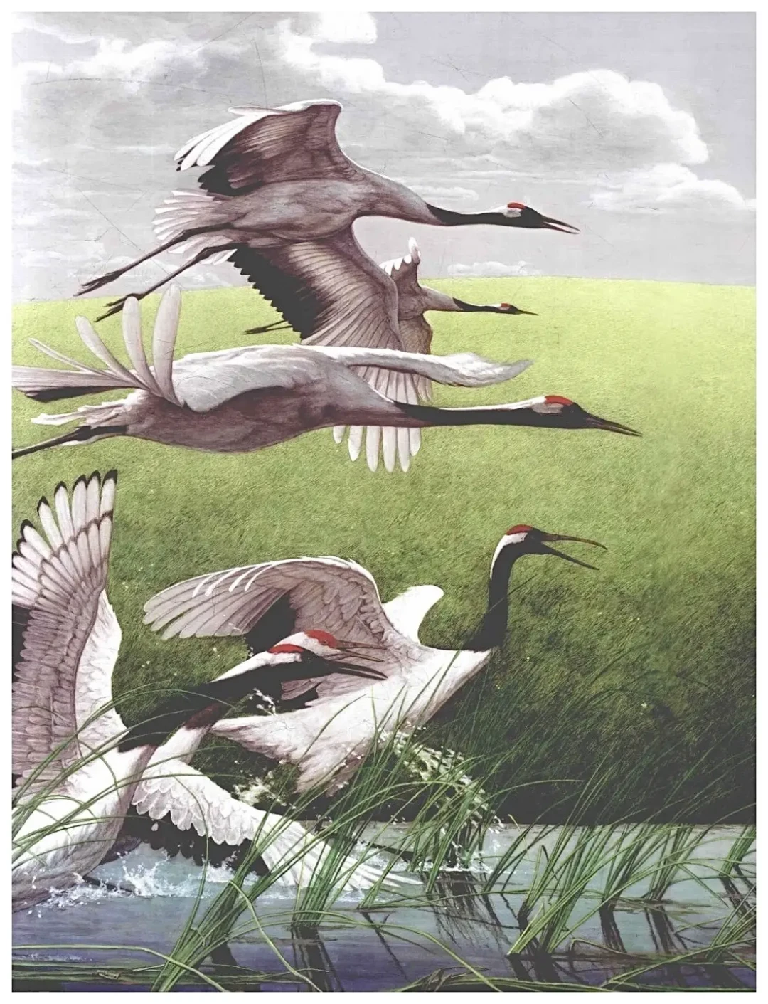 坦培拉绘画巡回展巡回6城开展:决定学这门