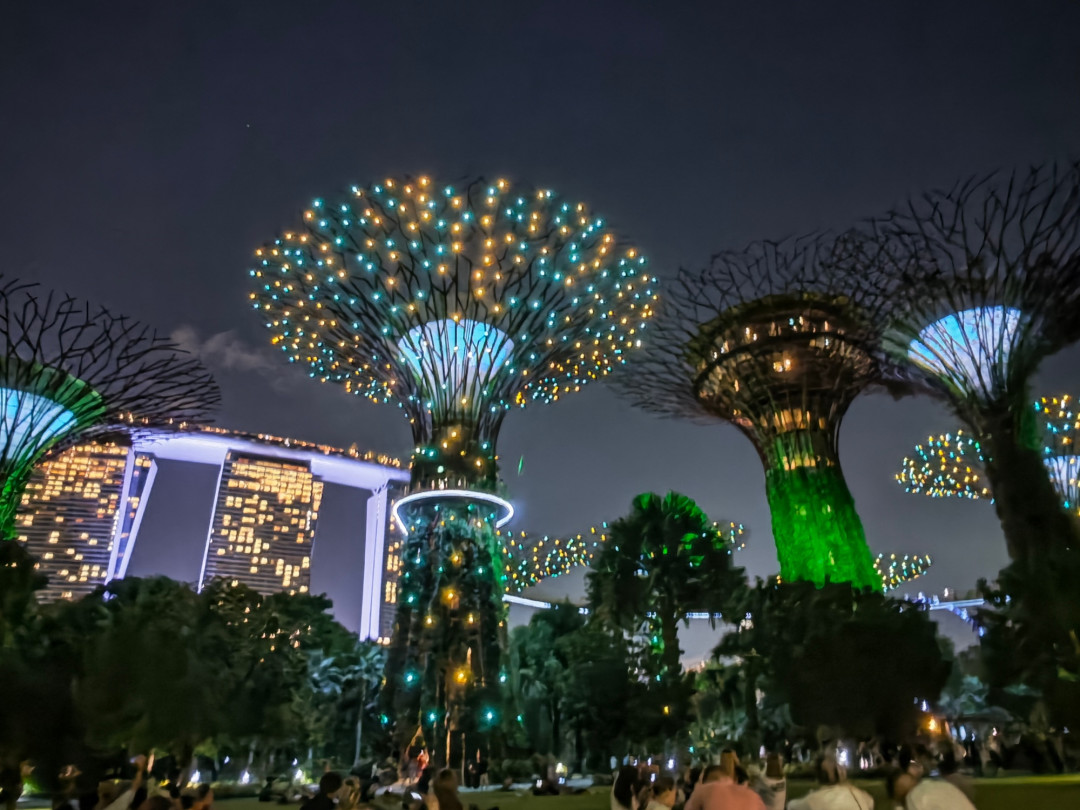 新加坡超级树避坑指南:灯光秀免费,14新币的高空票该不该买?