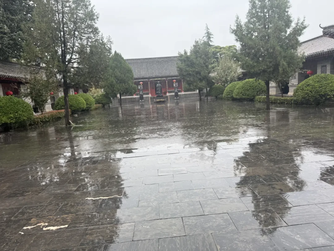 想认真学陈氏太极拳老架一路?先把这三件事弄清楚:老架新架啥区别、学拳花多少钱、膝盖扛不扛得住