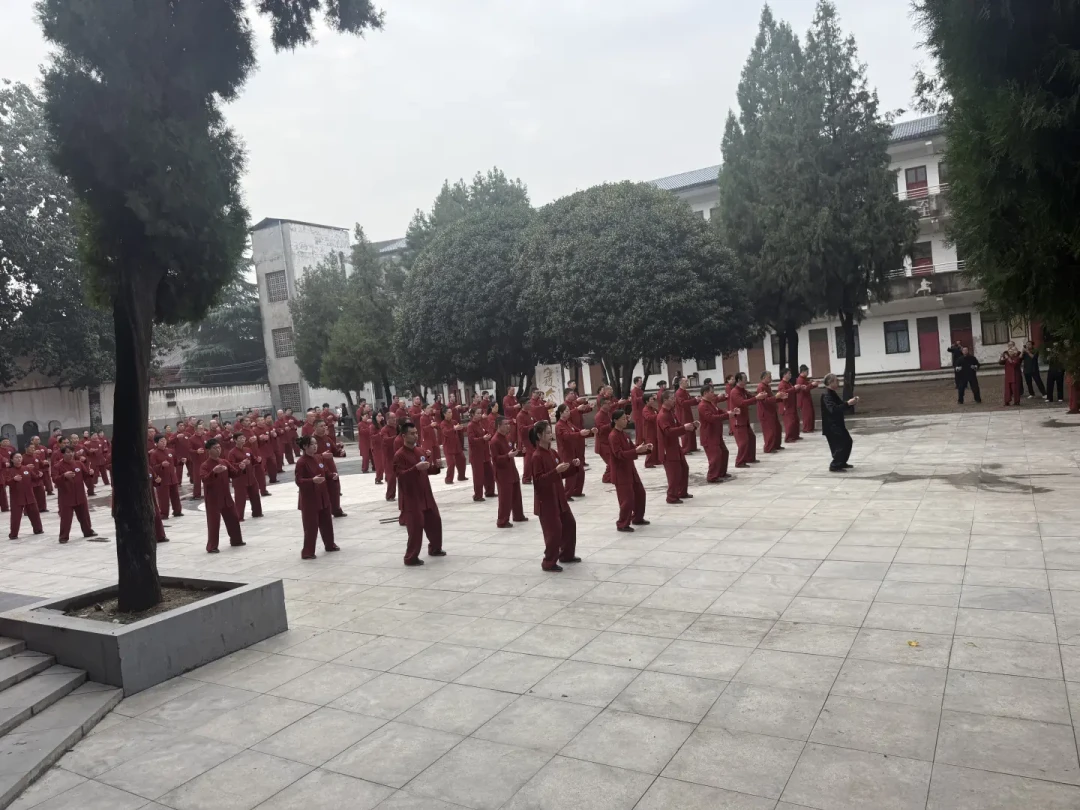 想认真学陈氏太极拳老架一路?先把这三件事弄清楚:老架新架啥区别、学拳花多少钱、膝盖扛不扛得住