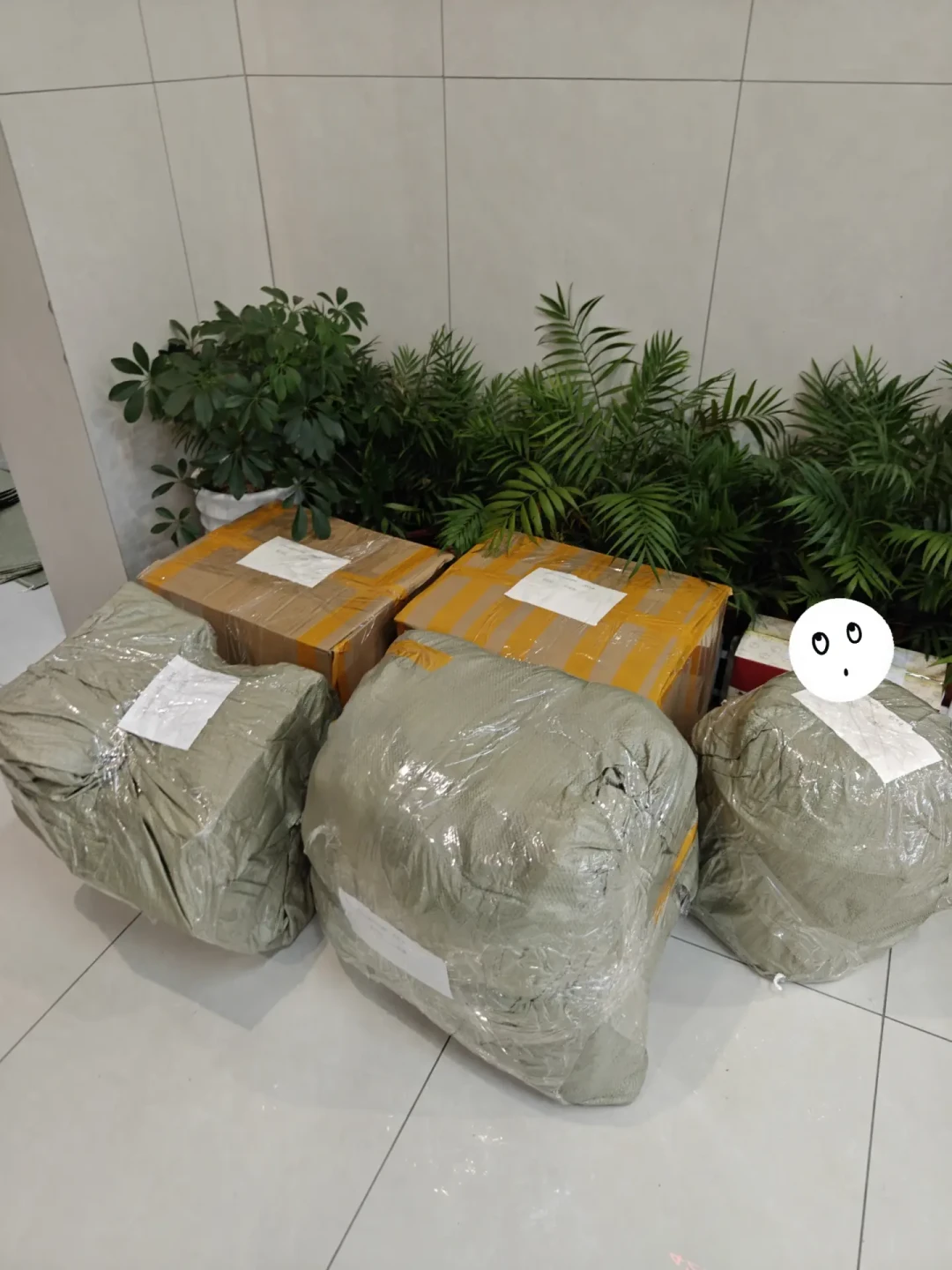 开学寄行李的攻略一半过期了:五折早就改了、六折券藏得深、代下平台全是坑——顺丰京东邮政三条路逐个核过