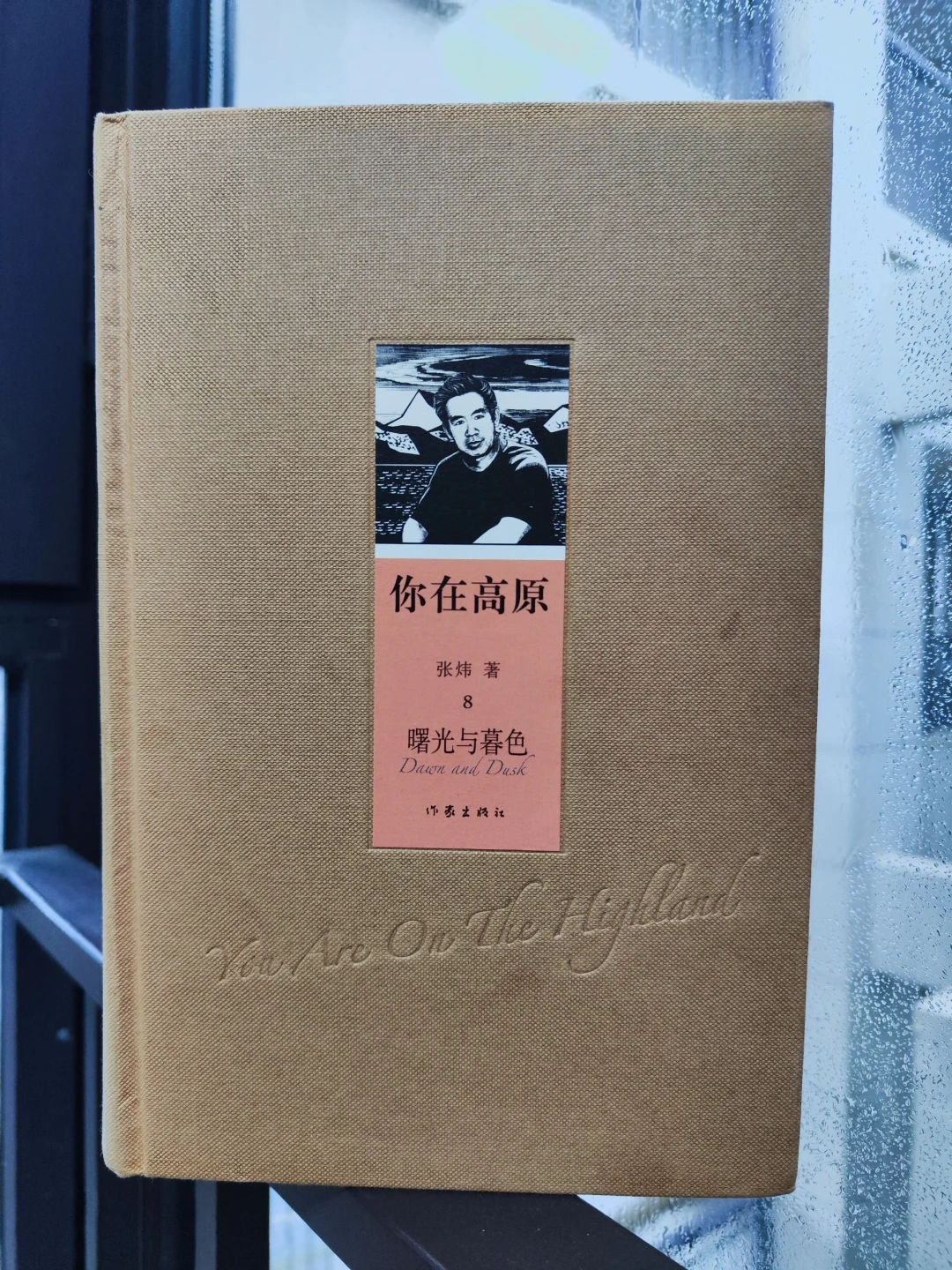 读张炜,别从茅奖那本开始:3小时的《橘颂》和450万字的《你在高原》