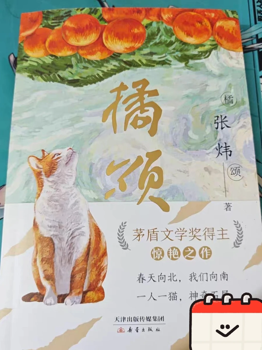 读张炜,别从茅奖那本开始:3小时的《橘颂》和450万字的《你在高原》