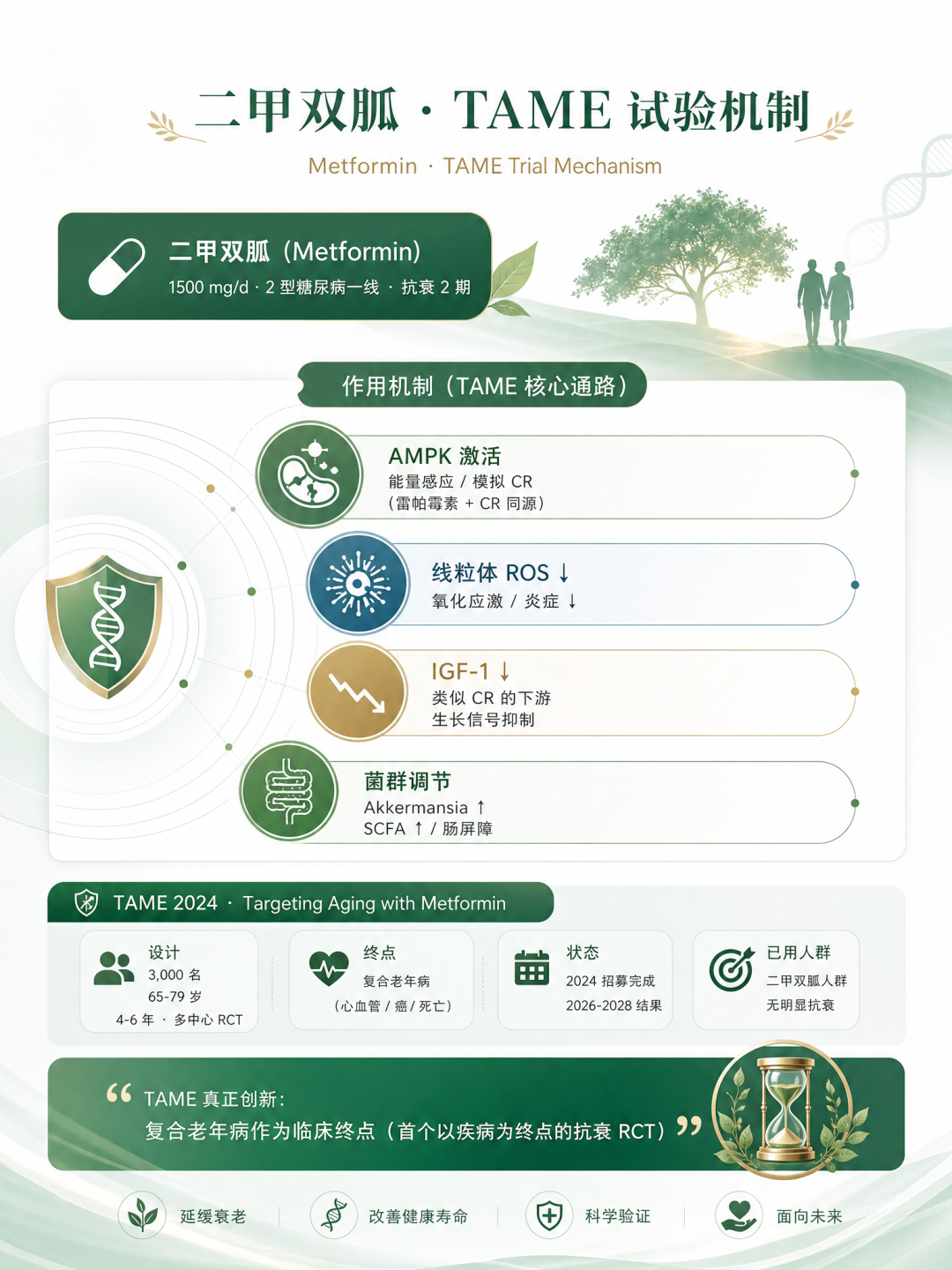 2026年首批雷帕霉素抗衰人体数据出炉:吃药+运动输给安慰剂,“长寿药”还值得吃吗?