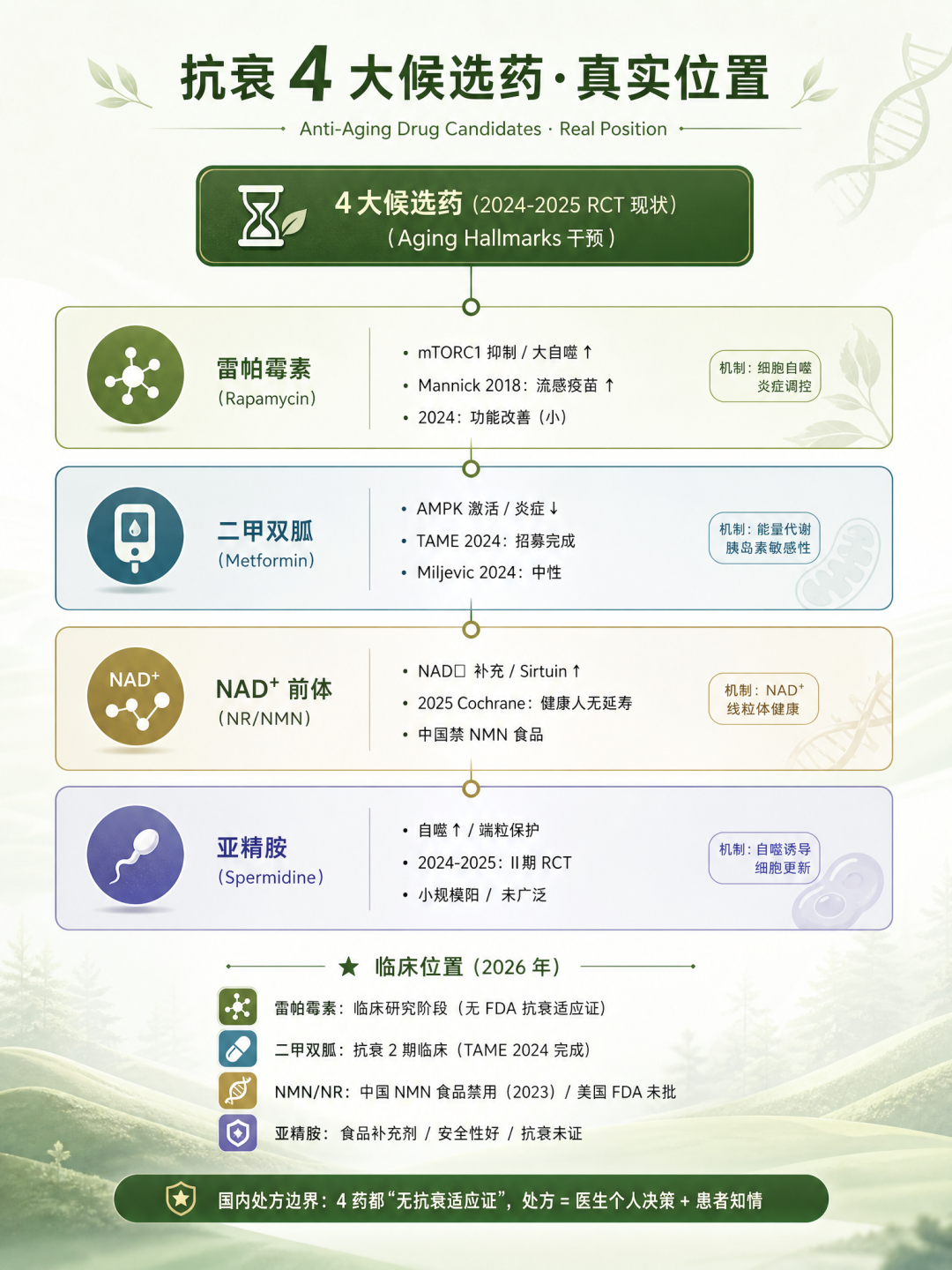 2026年首批雷帕霉素抗衰人体数据出炉:吃药+运动输给安慰剂,“长寿药”还值得吃吗?