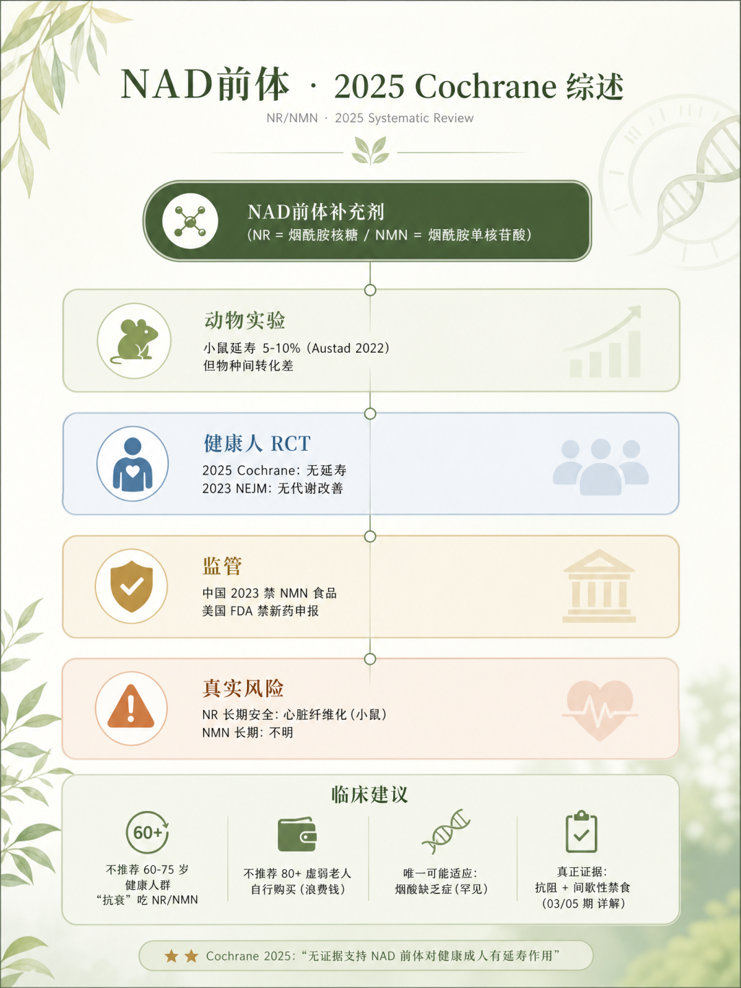 2026年首批雷帕霉素抗衰人体数据出炉:吃药+运动输给安慰剂,“长寿药”还值得吃吗?