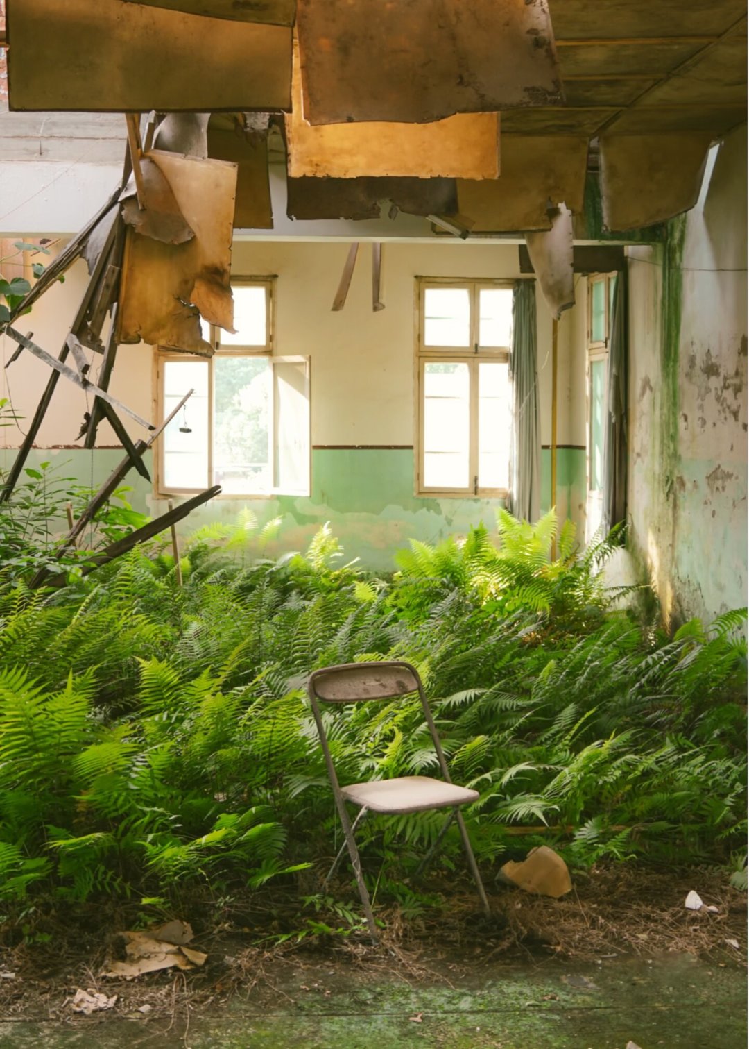最近刷屏的“绿色末日”，只是末日美学的冰山一角：五大分支和入门玩法，一次理清