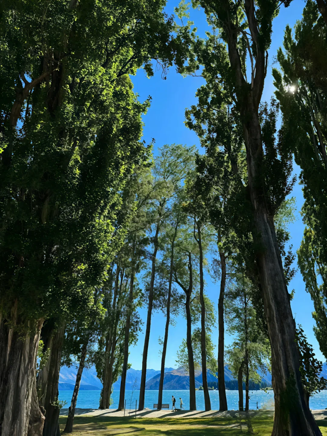 处暑到,夏天进入最后两周:胶片一天比一天贵,光是免费的,这波