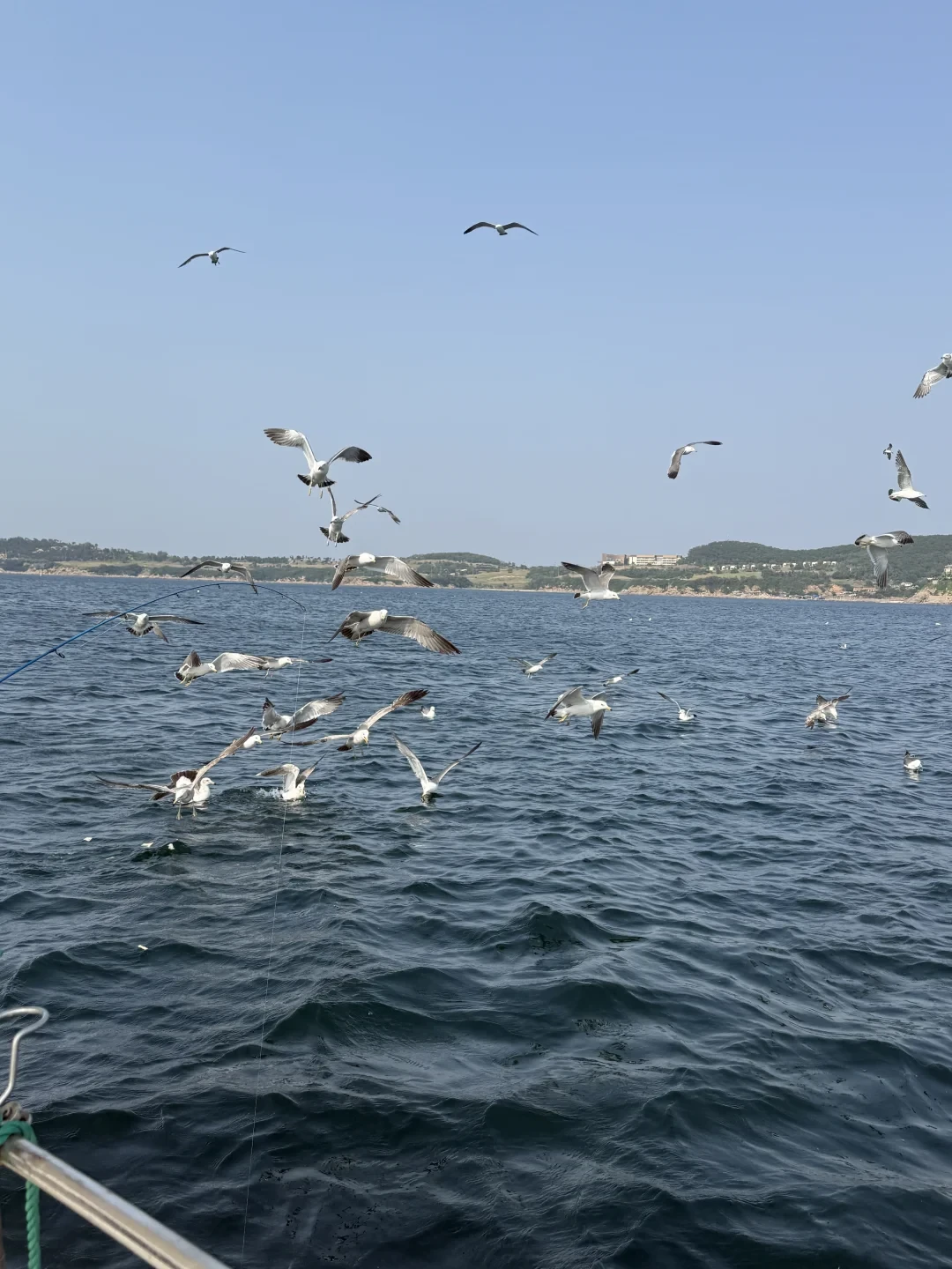 东海、南海接连开渔,第一次海钓出海要花多少钱?从几十元到包船帮你算明白