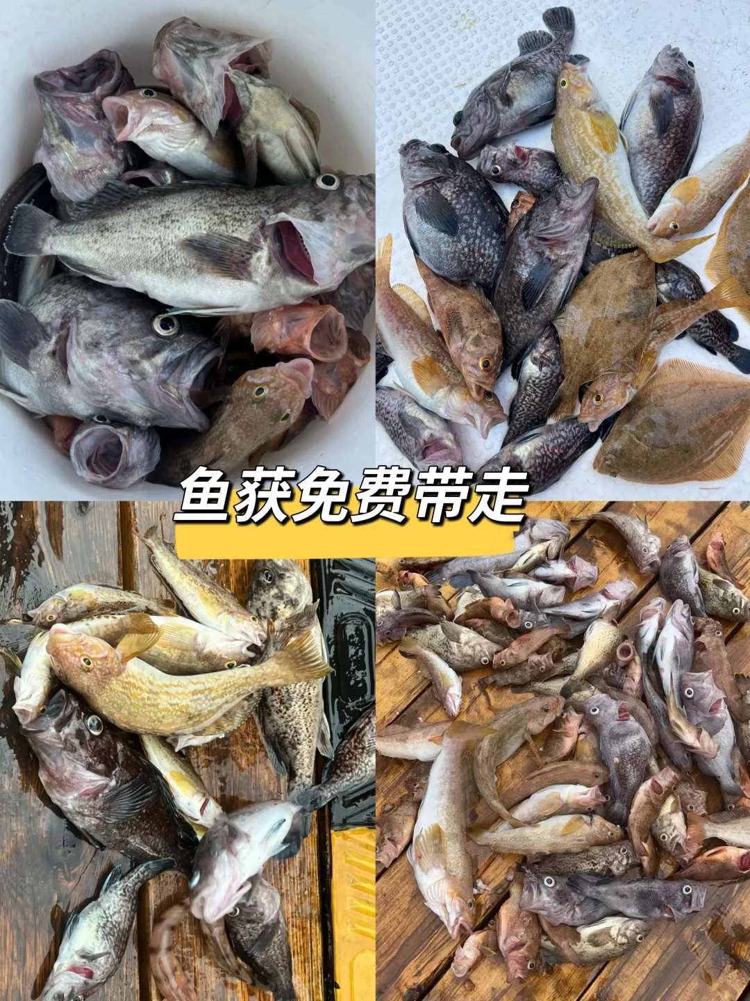 东海、南海接连开渔,第一次海钓出海要花多少钱?从几十元到包船帮你算明白
