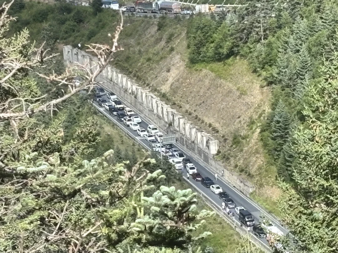 门票146元+观光车120元全免：亚丁免票第22天，翻了20多条现场帖，算清“免费”的真实成本