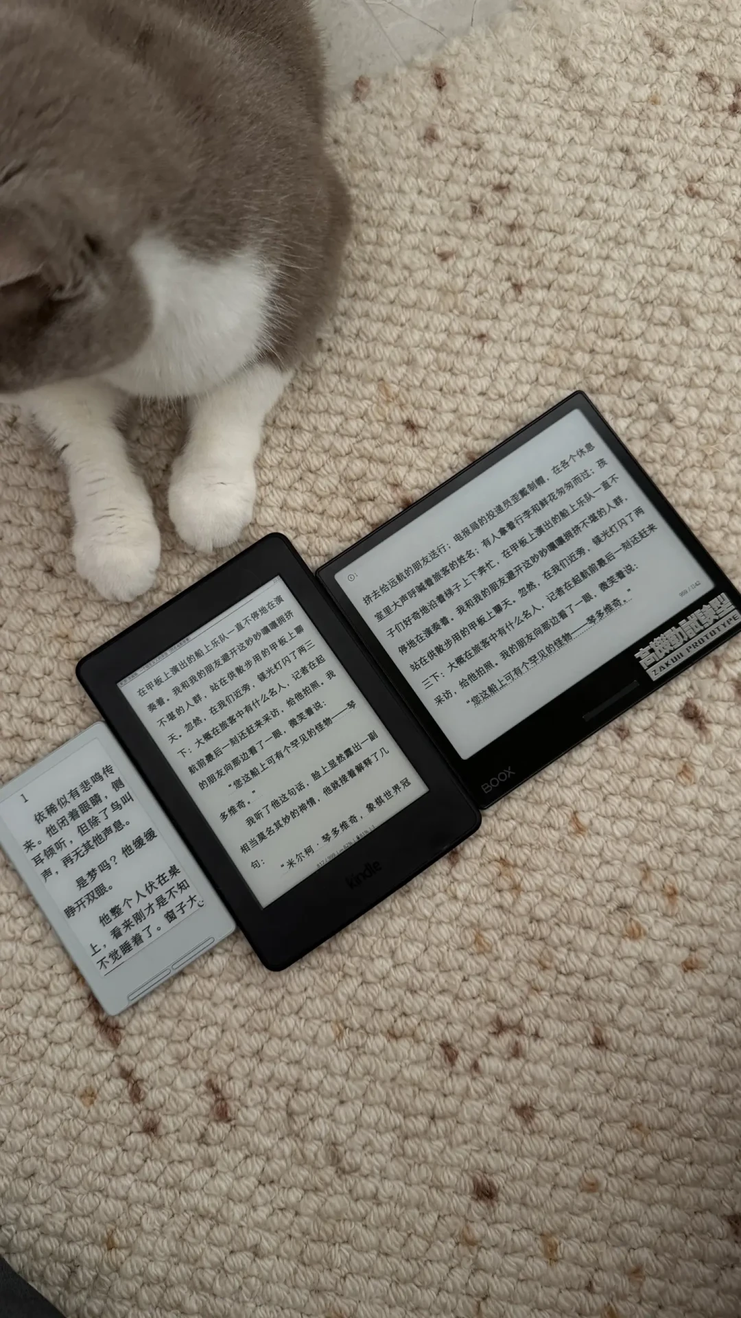 亚马逊一夜上调Kindle全线售价:入门款涨36%,蹲好价的人要重新算账了