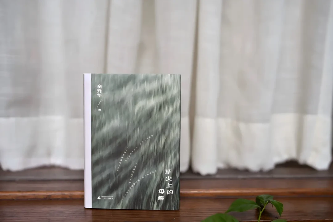 余秀华上海书展那句“继续痛苦”刷屏了,但她带的不是诗集:核对《草尖上的母亲》真实读者口碑后,谁该买谁该等