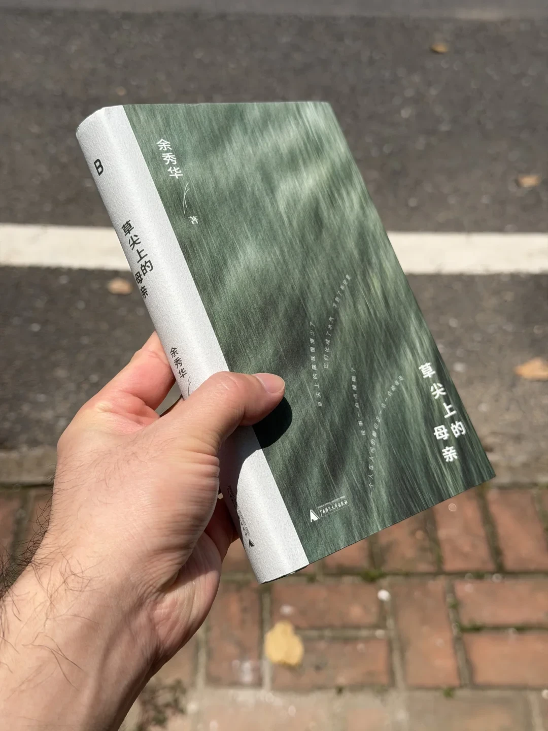 余秀华上海书展那句“继续痛苦”刷屏了,但她带的不是诗集:核对《草尖上的母亲》真实读者口碑后,谁该买谁该等