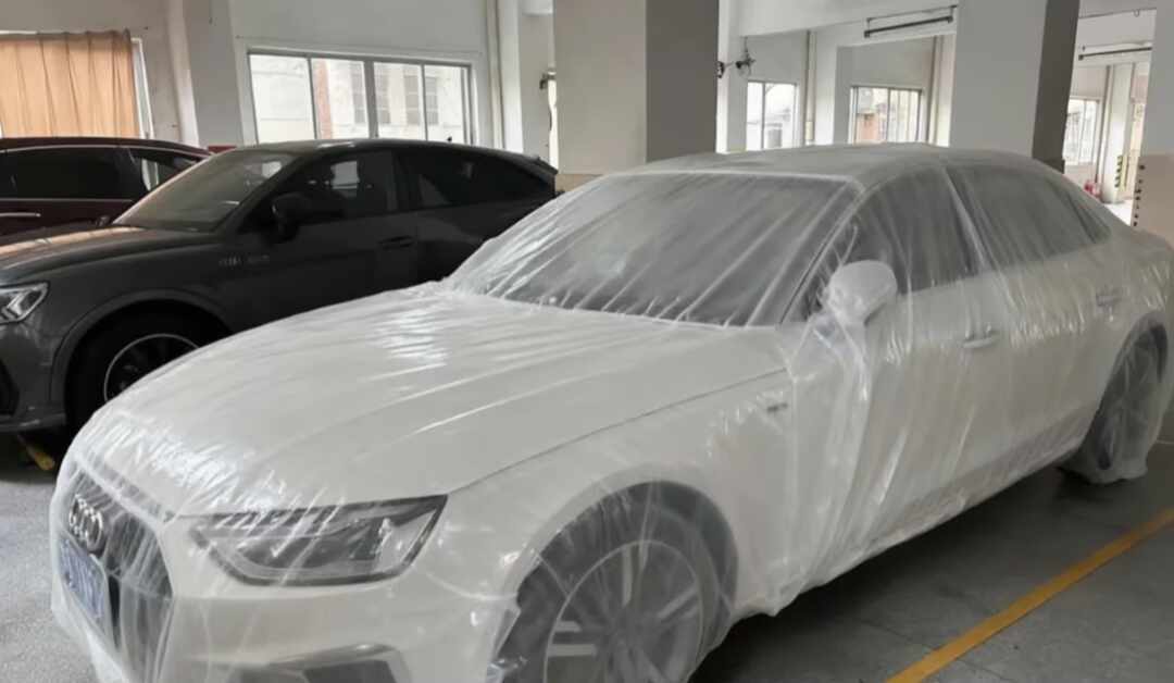 白海豚泡了近10万件报案,19号台风已到:今晚挪不挪车,先回答这3个问题