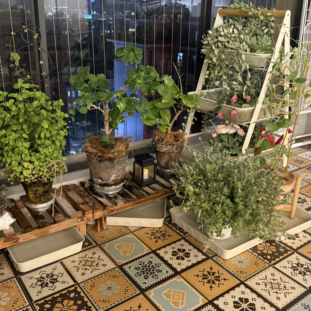 处暑到,蚊子季却没到头:疾控监测显示九月才是年度高峰,还要防多久有明确节点