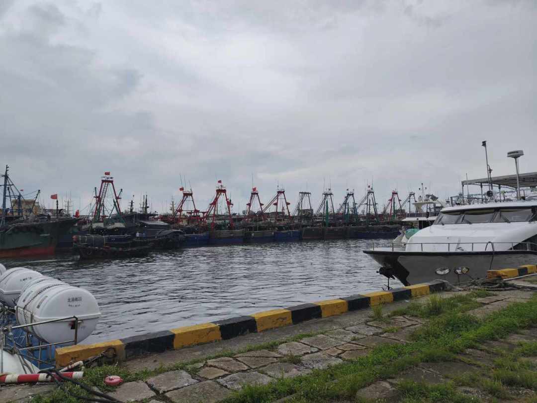 涠洲岛停航到25日,沙德尔还在后面候着:8月底南下追海鲜,先对好这三个时间窗口