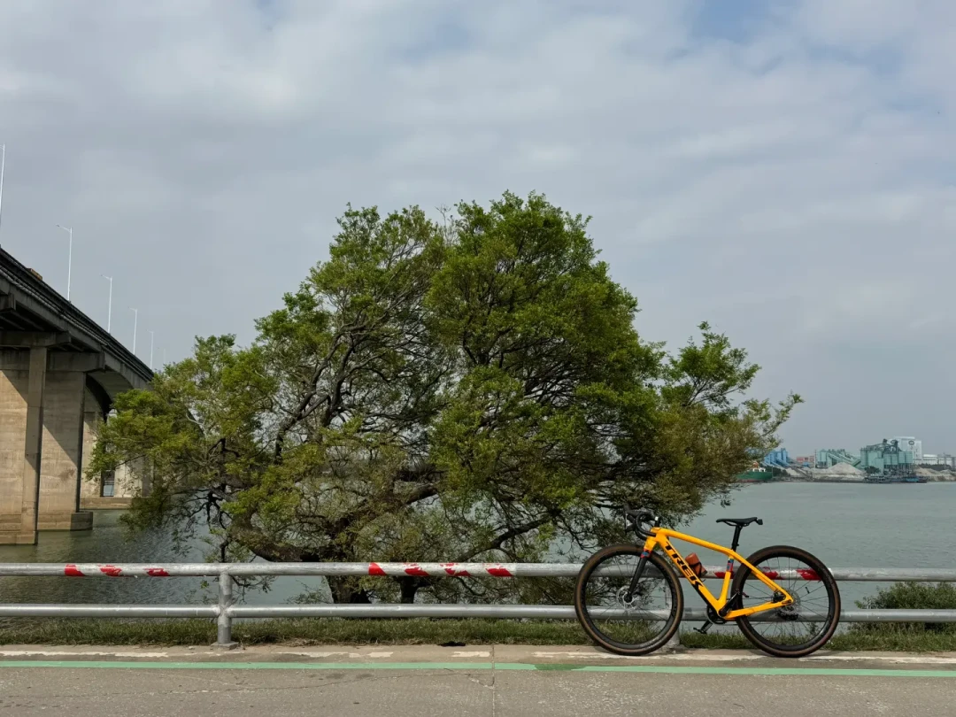 崔克原价7万多的旗舰瓜车,如今4万出头就能提:老款Checkpoint SLR清仓,这便宜是捡还是坑