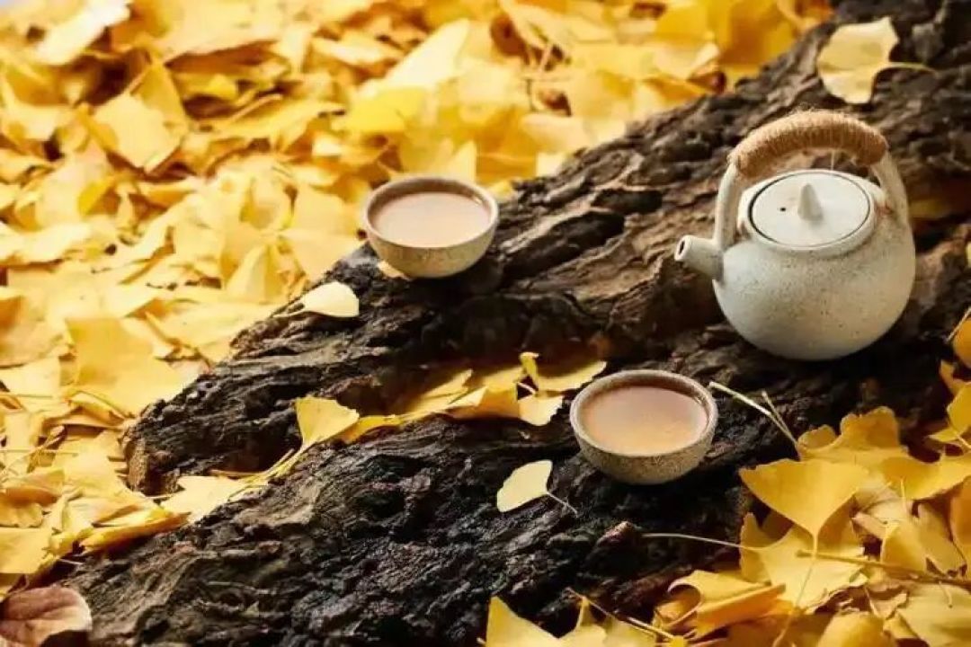 90篇“处暑喝茶指南”翻完了:口诀大多是编的,能信的只有这几件事