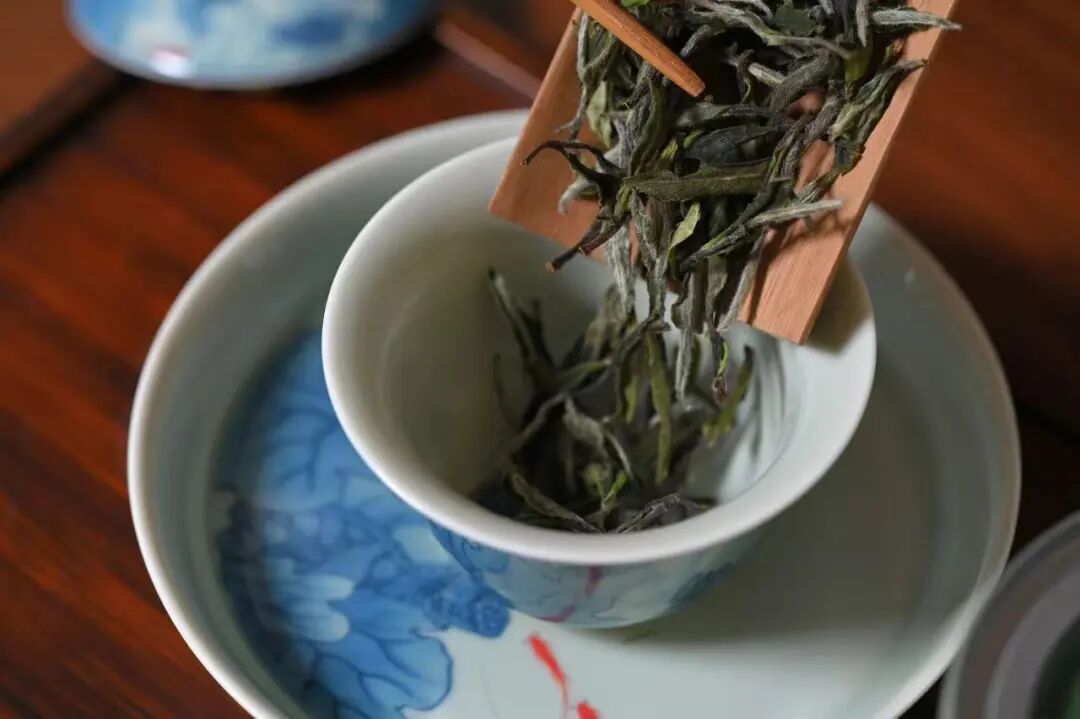 90篇“处暑喝茶指南”翻完了:口诀大多是编的,能信的只有这几件事