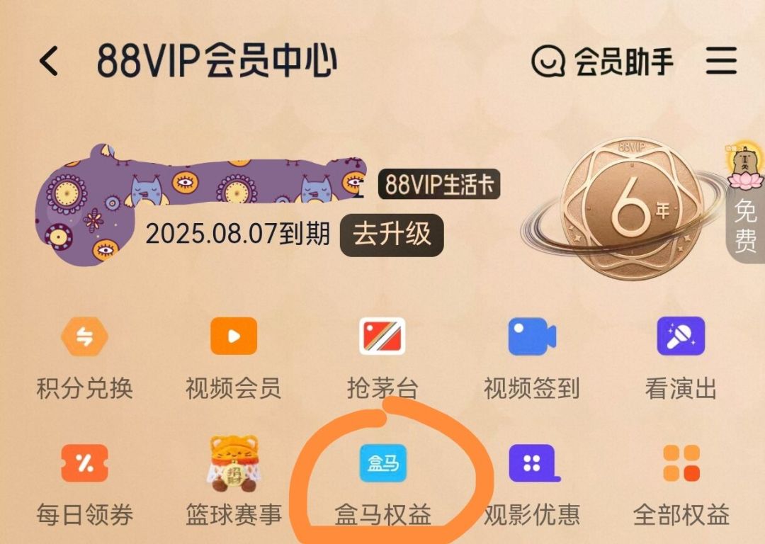 中信地推进攻盒马收银台：258元的会员年卡是真的，但这4个坑也是真的