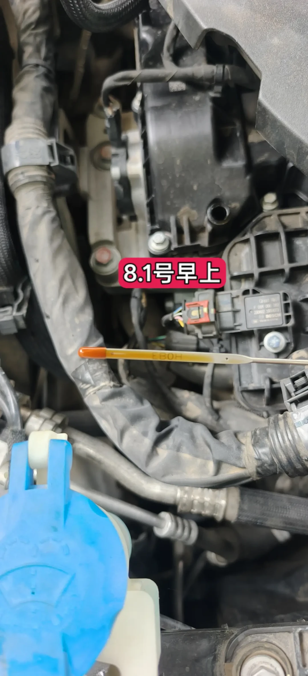 全程没故障码、也不冒蓝烟,5000公里却少了3升机油:一代枭龙MAX
